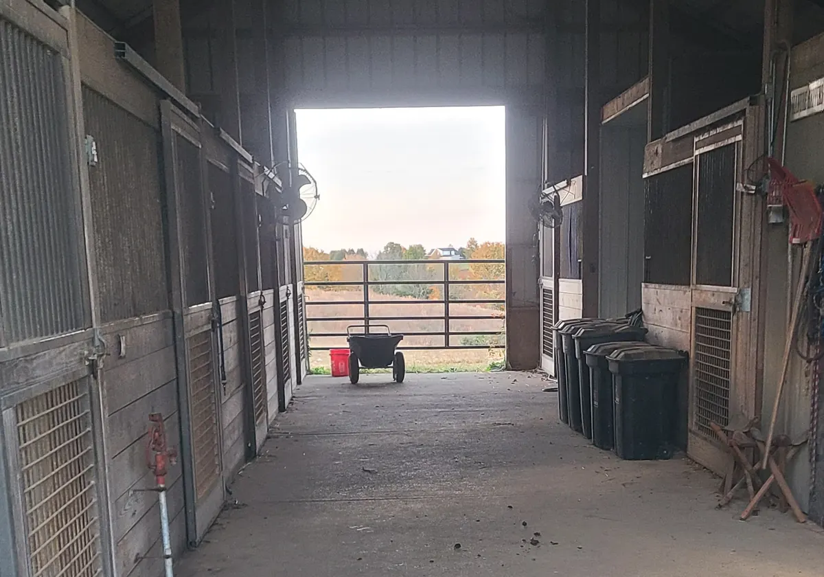 The wide center aisle of the main barn, lined with wooden horse stalls