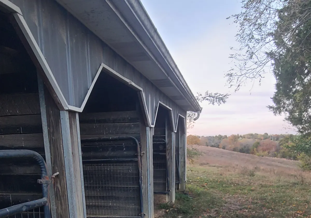 Covered outside stalls along the side of the barn, looking out over the hills