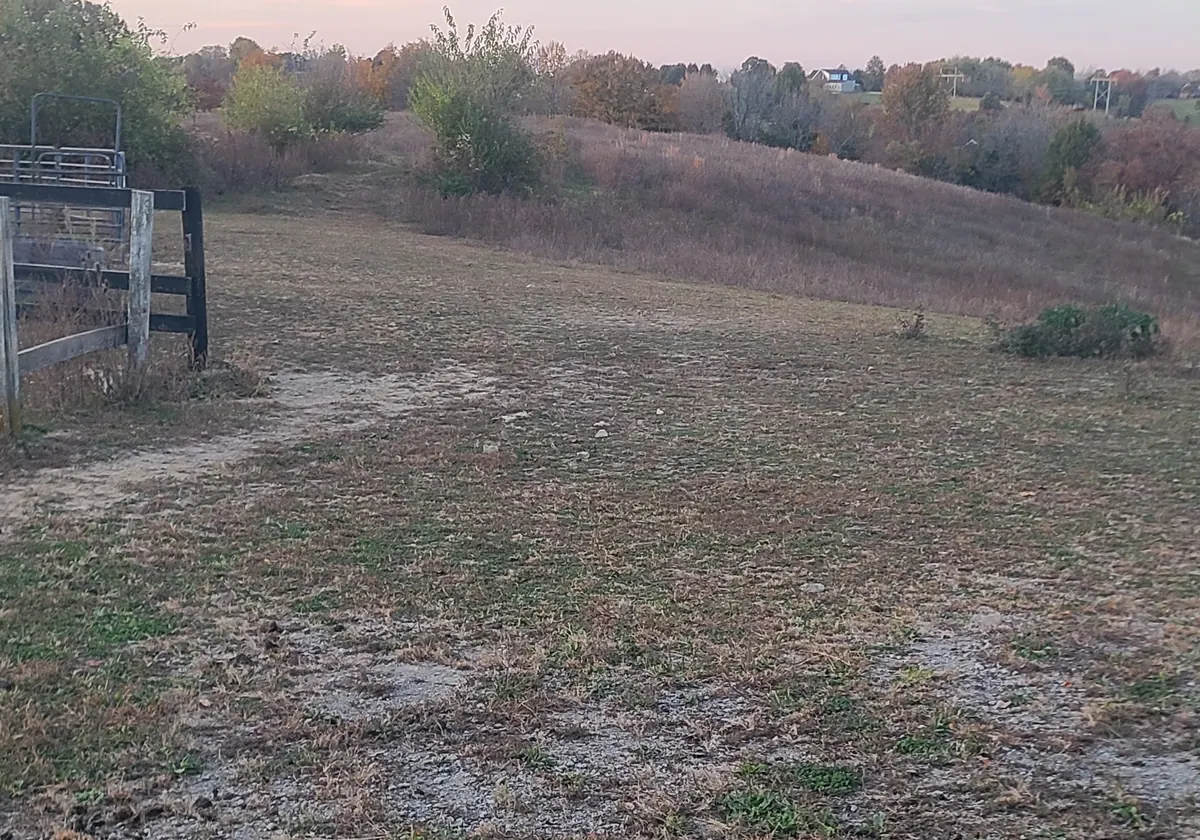 Rolling hill pasture in Taylorsville, Kentucky, with fall trees on the ridge