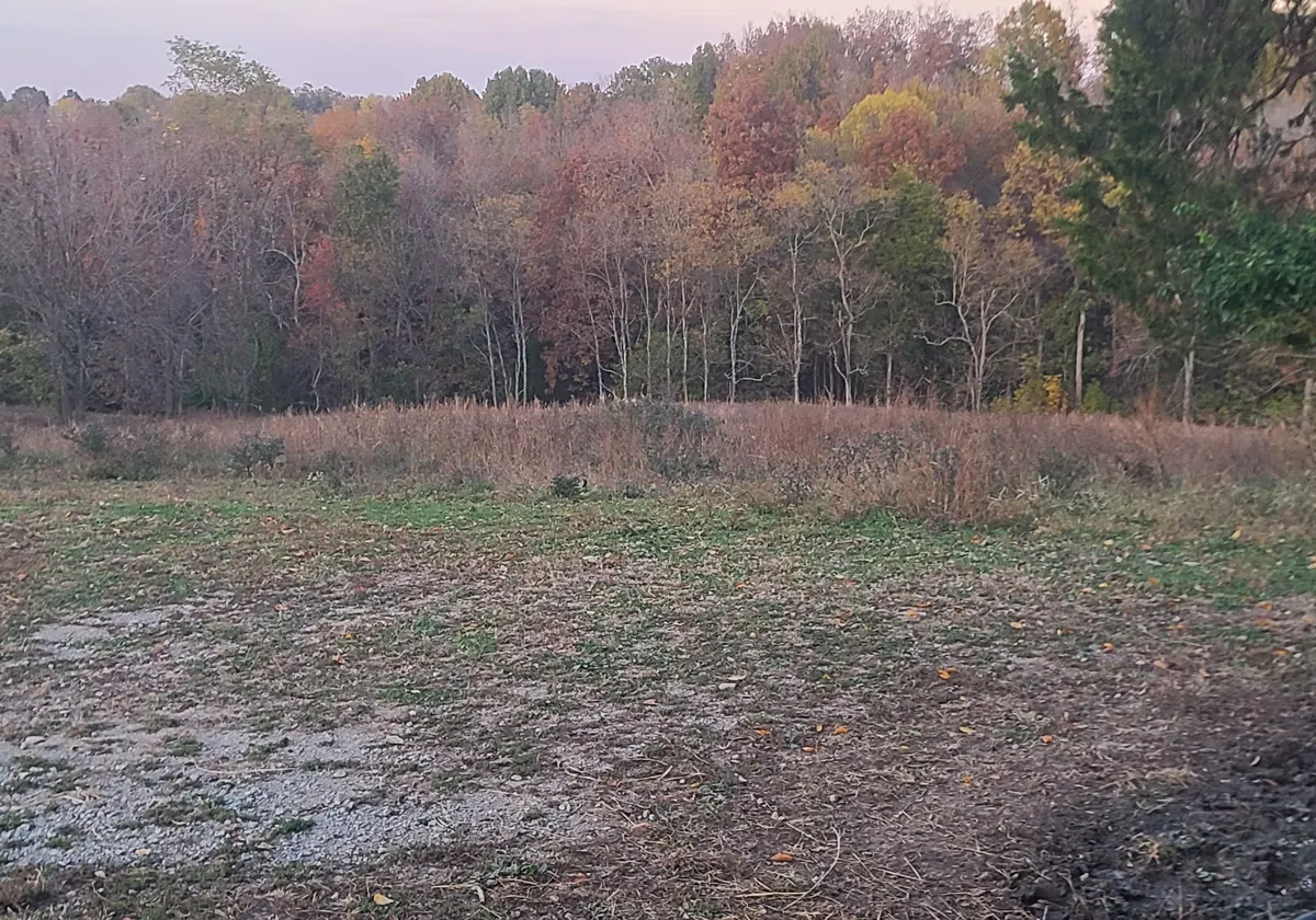 Open pasture at Sunny Hills Farm bordered by trees in fall color