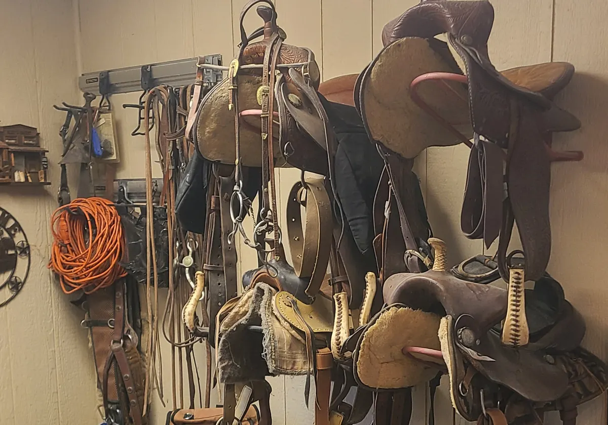 Saddles, bridles and halters hanging in the Sunny Hills Farm tack room